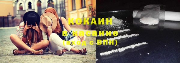 спиды Новозыбков