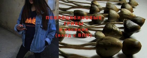мескалин Нея