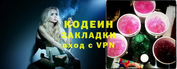 твердый Новодвинск