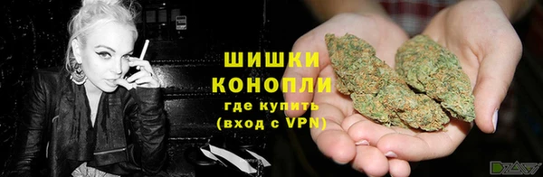 прущие грибы Новокубанск