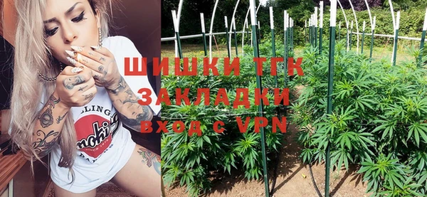 твердый Новодвинск