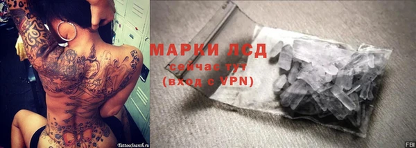 прущие грибы Новокубанск