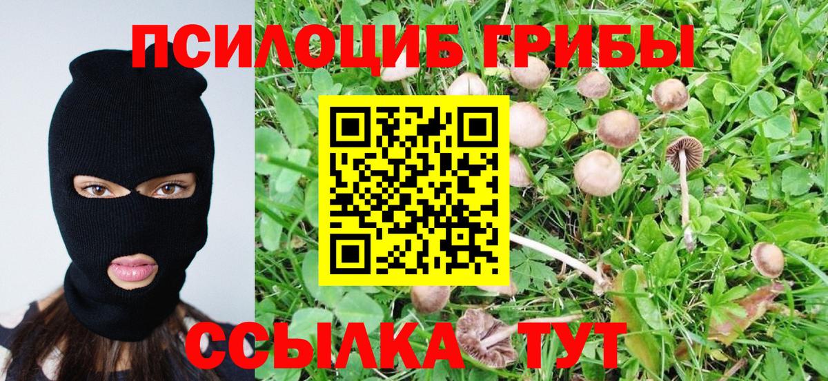 Псилоцибиновые грибы Magic Shrooms Мыски