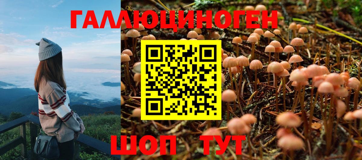 купить наркотики цена  Мыски  Галлюциногенные грибы Magic Shrooms  Галлюциногенные грибы GOLDEN TEACHER 